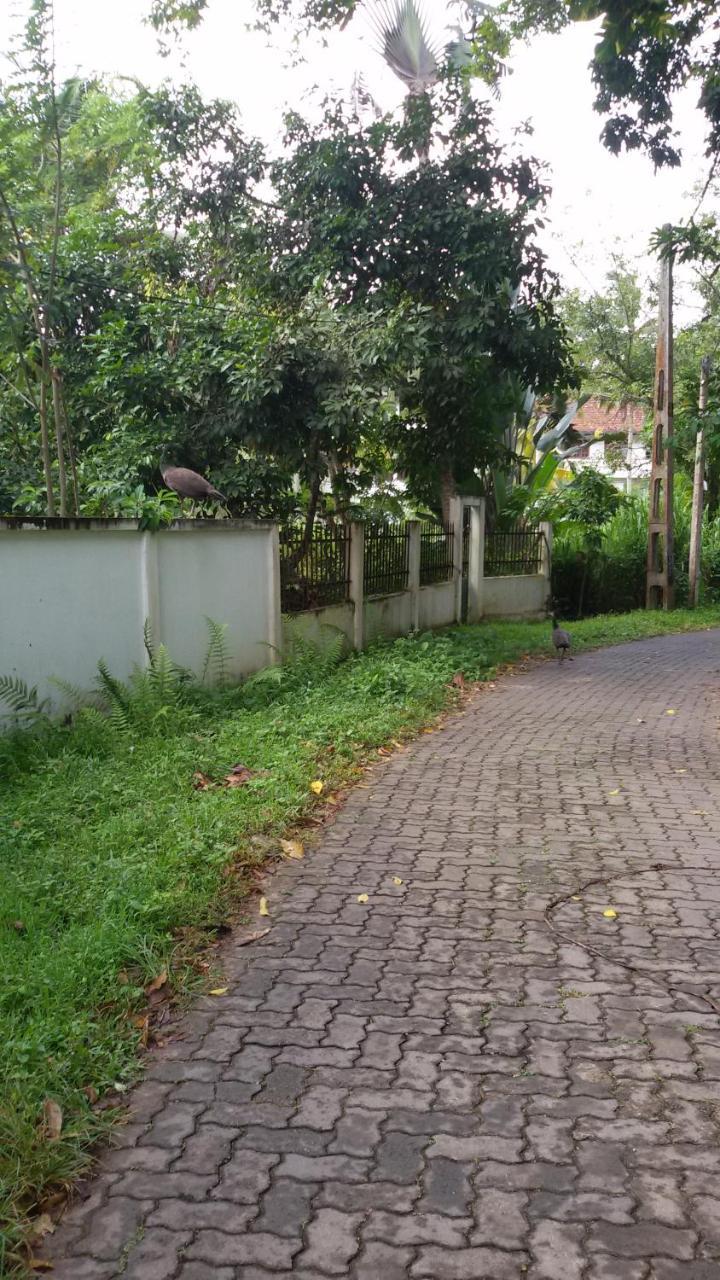 Vero Homestay Galle- Your Home Away From Home! Bagian luar foto